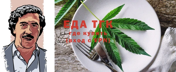 хмурый Аркадак