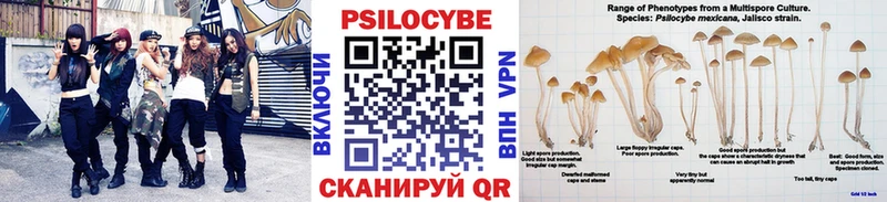 Псилоцибиновые грибы мицелий  купить   Кущёвская 